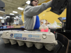 As mentiras económicas de Trump estão a apanhá-lo Desenho animado de Mike Luckovich