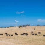 As novas diretrizes de benefícios energéticos da WA são um começo, mas os especialistas veem falhas importantes