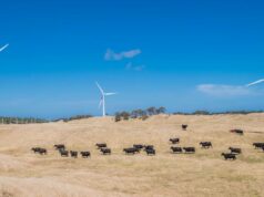 As novas diretrizes de benefícios energéticos da WA são um começo, mas os especialistas veem falhas importantes As novas diretrizes de benefícios energéticos da WA são um começo, mas os especialistas veem falhas importantes