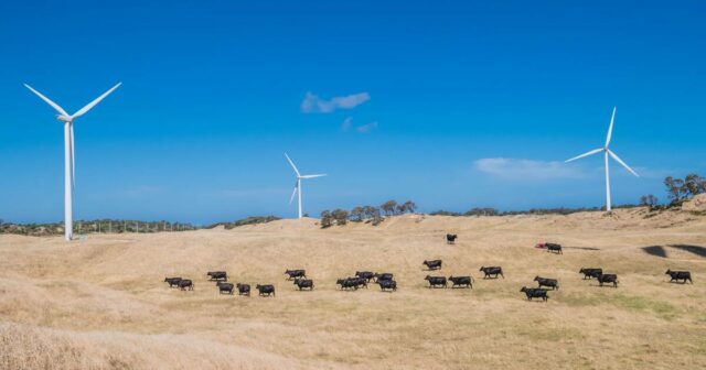 As novas diretrizes de benefícios energéticos da WA são um começo, mas os especialistas veem falhas importantes
