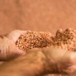 As primeiras encomendas de fertilizantes estão garantidas, mas o fornecimento futuro permanece incerto