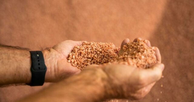 As primeiras encomendas de fertilizantes estão garantidas, mas o fornecimento futuro permanece incerto
