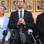 As primeiras palavras de Canavan: precisamos de mais bebês, larrikins e agricultura australianos