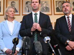 As primeiras palavras de Canavan: precisamos de mais bebês, larrikins e agricultura australianos As primeiras palavras de Canavan: precisamos de mais bebês, larrikins e agricultura australianos