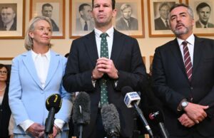 As primeiras palavras de Canavan: precisamos de mais bebês, larrikins e agricultura australianos As primeiras palavras de Canavan: precisamos de mais bebês, larrikins e agricultura australianos