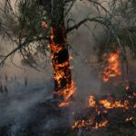 Aviso extremamente raro emitido enquanto cidade inteira é orientada a evitar voltar para casa