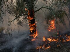 Aviso extremamente raro emitido enquanto cidade inteira é orientada a evitar voltar para casa Aviso extremamente raro emitido enquanto cidade inteira é orientada a evitar voltar para casa