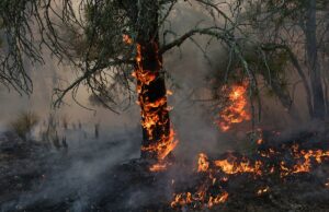 Aviso extremamente raro emitido enquanto cidade inteira é orientada a evitar voltar para casa Aviso extremamente raro emitido enquanto cidade inteira é orientada a evitar voltar para casa