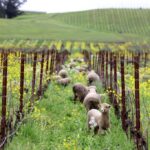 Miguel Nopales, funcionário da Arbor Fence Inc., coloca...