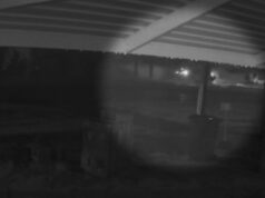 Bebê morto, mulher e criança gravemente feridas em acidente de carro compartilhado Lynwood mortal