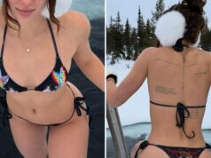 Bochecha da semana: Adivinhe os pães gelados! Bochecha da semana: Adivinhe os pães gelados!