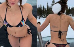 Bochecha da semana: Adivinhe os pães gelados! Bochecha da semana: Adivinhe os pães gelados!