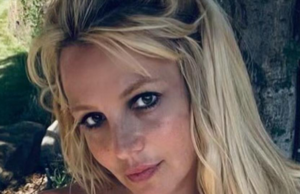 Britney Spears não liderou policiais em Wild Chase, apesar dos relatos Insta principal de Britney Spears