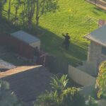 Caçada suburbana em andamento em Brisbane por homem sem camisa acusado de atropelar carro da polícia