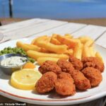 Os cientistas alertaram os britânicos que os seus lagostins e batatas fritas podem ter um custo ambiental oculto, enquanto os especialistas alertam que a pesca desta guloseima clássica danifica os ecossistemas marinhos e liberta carbono preso. Na foto: captura acidental de scampi na pesca de arrasto de fundo (imagem de banco de imagens)