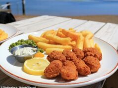 Camarões e batatas fritas poderão em breve sair do menu! Cientista acordado pede que os britânicos abandonem o produto básico à beira-mar – em meio a temores de que isso acarrete um ‘custo climático oculto’ Os cientistas alertaram os britânicos que os seus lagostins e batatas fritas podem ter um custo ambiental oculto, enquanto os especialistas alertam que a pesca desta guloseima clássica danifica os ecossistemas marinhos e liberta carbono preso. Na foto: captura acidental de scampi na pesca de arrasto de fundo (imagem de banco de imagens)