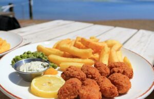 Camarões e batatas fritas poderão em breve sair do menu! Cientista acordado pede que os britânicos abandonem o produto básico à beira-mar – em meio a temores de que isso acarrete um ‘custo climático oculto’ Os cientistas alertaram os britânicos que os seus lagostins e batatas fritas podem ter um custo ambiental oculto, enquanto os especialistas alertam que a pesca desta guloseima clássica danifica os ecossistemas marinhos e liberta carbono preso. Na foto: captura acidental de scampi na pesca de arrasto de fundo (imagem de banco de imagens)