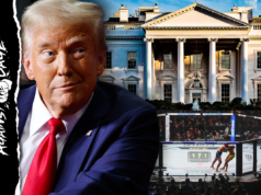 Casa Branca sediará luta do UFC no aniversário de Trump – Tudo o que você precisa saber Casa Branca sediará luta do UFC no aniversário de Trump – Tudo o que você precisa saber