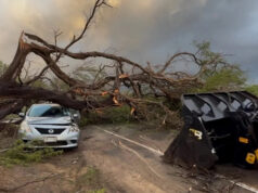 Casal de idosos entre residentes de Maui perderá sua casa na histórica tempestade no Havaí, 3 anos após incêndios mortais Uma casa em Maui pertencente a um casal de idosos que foi destruída durante uma tempestade