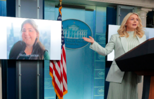 Centenas de pessoas se reúnem para o serviço memorial de fim de semana em homenagem a Sheridan Gorman Centenas de pessoas se reúnem para o serviço memorial de fim de semana em homenagem a Sheridan Gorman