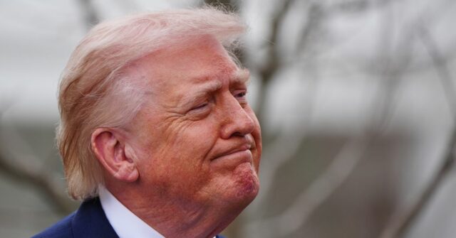 Trump afirmou que os oficiais do ICE iriam 