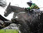 Cheltenham Festival AO VIVO: dicas e resultados do Ladies Day com L'Eau Du Sud e Majborough estrelando Champion Chase