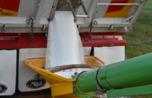 Choque de oferta: a dependência esmagadora da Austrália de fertilizantes importados é destacada Choque de oferta: a dependência esmagadora da Austrália de fertilizantes importados é destacada