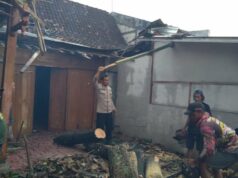 Colocando Beliung Terjang Blora, Rumah Warga Rusak e Serambi Masjid Roboh Colocando Beliung Terjang Blora, Rumah Warga Rusak e Serambi Masjid Roboh