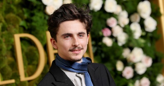 Comentários controversos de Timothée Chalamet sobre ópera e balé, explicados
