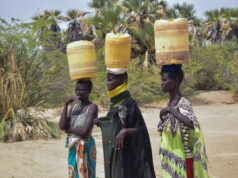 ‘Como faço para sobreviver?’ Seca assola Turkana, no Quênia, em meio a superávits em outros lugares Quênia