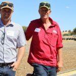 Como o acasalamento de cordeiras, junções mais curtas e alimentação por lote remodelaram Moojepin Merinos
