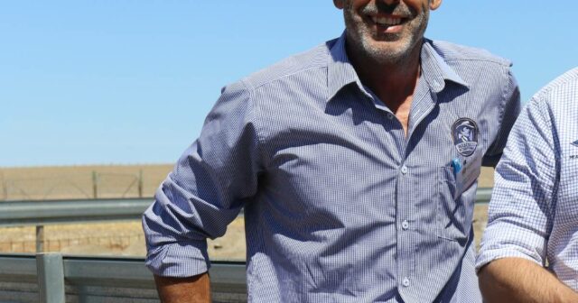 Como o risco geopolítico está remodelando os mercados globais de carne ovina da Austrália
