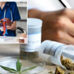 Compostos de cannabis podem reverter doenças que afetam um terço dos adultos
