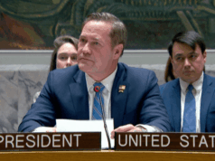 Conselho de Segurança da ONU adota projeto de resolução dos países do Golfo Conselho de Segurança da ONU adota projeto de resolução dos países do Golfo