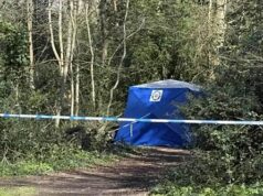 Corpo de homem é encontrado dentro de uma lata de lixo no parque: a polícia teme que a vítima tenha sido atropelada por um carro e depois removida Uma tenda azul e fita policial foram montadas ao redor da área onde o corpo do homem foi encontrado