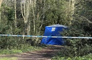 Corpo de homem é encontrado dentro de uma lata de lixo no parque: a polícia teme que a vítima tenha sido atropelada por um carro e depois removida Uma tenda azul e fita policial foram montadas ao redor da área onde o corpo do homem foi encontrado