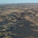 Criadores de haras WA doam ovelhas para fazendeiros afetados pelo fogo em Nullarbor
