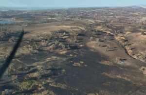 Criadores de haras WA doam ovelhas para fazendeiros afetados pelo fogo em Nullarbor Criadores de haras WA doam ovelhas para fazendeiros afetados pelo fogo em Nullarbor