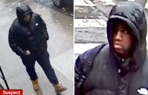 Criminoso de jaqueta de baiacu preso por socar uma guarda de trânsito da escola da NYPD: policiais Anthony Andrus, 35 anos – que tem pelo menos sete prisões anteriores – foi acusado de agressão em conexão com o ataque de 5 de março à guarda feminina, disse a polícia.