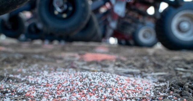 Crise de fertilizantes: conselhos do Incitec Pivot aos agricultores à medida que o relógio de fornecimento de nitrogênio avança
