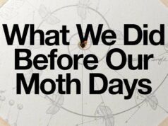 Crítica off-Broadway de ‘O que fizemos antes de nossos dias de mariposa’: Wallace Shawn e André Gregory retornam, mais preciosos e pretensiosos do que nunca Crítica off-Broadway de 'O que fizemos antes de nossos dias de mariposa': Wallace Shawn e André Gregory retornam, mais preciosos e pretensiosos do que nunca