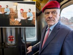 Curtis Sliwa se aproxima de Zohran Mamdani em uma peça cômica centrada em gatos – mas o Partido Republicano não acha engraçado Curtis Sliwa se aproxima de Zohran Mamdani em uma peça cômica centrada em gatos - mas o Partido Republicano não acha engraçado