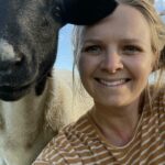 Dando a Dorpers um lar entre as altas árvores da região sudoeste de WA