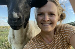 Dando a Dorpers um lar entre as altas árvores da região sudoeste de WA Dando a Dorpers um lar entre as altas árvores da região sudoeste de WA
