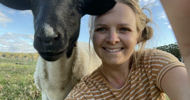 Dando a Dorpers um lar entre as altas árvores da região sudoeste de WA

