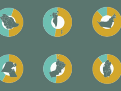 De onde vêm os 35 milhões de estrangeiros que vivem no CCG? Interactive_WhereDo_Expats_GCC_MARCH9_2026