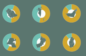 De onde vêm os 35 milhões de estrangeiros que vivem no CCG? Interactive_WhereDo_Expats_GCC_MARCH9_2026