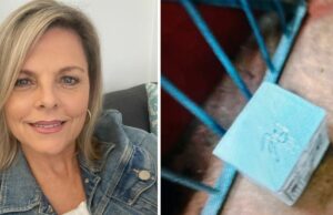 Debbie estava de luto pela morte repentina de sua mãe. Então suas cinzas foram roubadas As cinzas da mãe de Debbie Kristenson foram roubadas de um complexo de apartamentos em Sydney