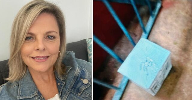 As cinzas da mãe de Debbie Kristenson foram roubadas de um complexo de apartamentos em Sydney