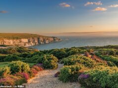 Dentro da “Tasmânia das Ilhas Britânicas”, com praias intocadas, 1.976 horas de sol por ano e vida selvagem excepcional A Ilha de Wight: lembra a Tasmânia com suas praias quase intocadas, litoral acidentado e pastagens vibrantes